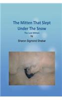 Mitten That Slept Under The Snow