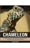 Chameleon