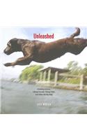 Unleashed