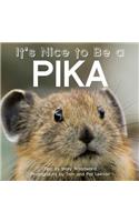 It's Nice to Be a Pika