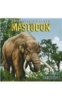 Mastodon