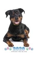 2020 Rottweiler Planner - Weekly - Daily - Monthly