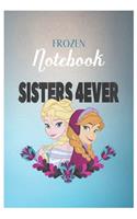 Frozen Notebook