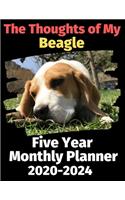 The Thoughts of My Beagle