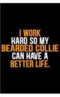 I Work Hard So My Bearded Collie Can Have a Better Life