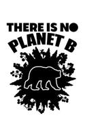There Is No Planet B Save The World