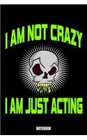I Am Not Crazy I Am Just Acting Notebook