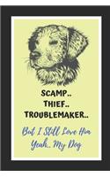 Scamp, Thief, Troublemaker.. But I Still Love Him.. Yeah, My Dog