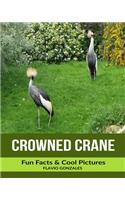 Crowned Crane