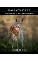 Amazing Facts about Fallow Deer