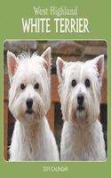 WEST HIGHLAND WHITE TERRIERS B 2019