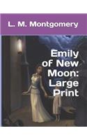 Emily of New Moon: Large Print