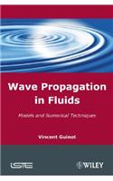 Wave Propagation in Fluids