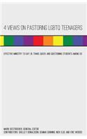 4 Views on Pastoring Lgbtq Teenagers