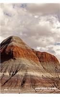 Petrified Forest