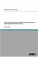 How Much Are the Central and Eastern European Countries (Ceec) Aligned with the Euro Area?