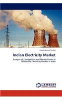 Indian Electricity Market