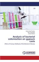 Analysis of Bacterial Colonization on Gypsum Casts