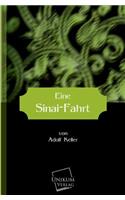 Eine Sinai-Fahrt