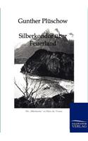 Silberkondor über Feuerland