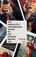The Absolutely Fantabulous Affair of the Broken Mason Jar