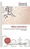 Ribes Echinellum: (English)