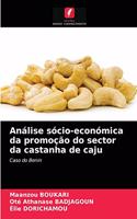 Análise sócio-económica da promoção do sector da castanha de caju