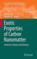 Exotic Properties of Carbon Nanomatter