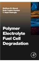 Polymer Electrolyte Fuel Cell Degradation