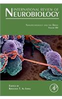 Nanotechnology and the Brain