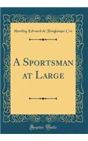 A Sportsman at Large (Classic Reprint)