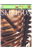Skeleton