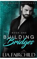 Building Bridges