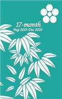 17-month Aug 2019-Dec 2020 5x8