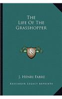 The Life Of The Grasshopper