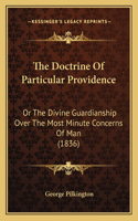 The Doctrine Of Particular Providence