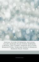 Articles on Natural History of Bermuda, Including: Yellow-Crowned Night Heron, Northern Cardinal, Gray Catbird, Bermuda Rock Skink, Bermuda Petrel, Flora and Fauna in Bermuda, Bermuda Night Heron