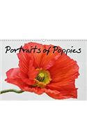 Portraits of Poppies 2018