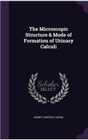 Microscopic Structure & Mode of Formation of Urinary Calculi