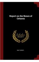 Report on the Bones of Cetacea