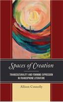 Spaces of Creation: Transculturality and Feminine Expression in Francophone Literature(After the Empire: The Francophone World and Postcolonial France)