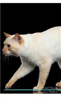 Mekong Bobtail Affirmations Workbook Mekong Bobtail Presents: Positive and Loving Affirmations Workbook. Includes: Mentoring Questions, Guidance, Supporting You.