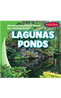 Lagunas / Ponds: (¡Nuestra Maravillosa Tierra! / Our Exciting Earth!)