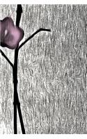 Orchids Bloom Notebook: Stylish and Elegant Notebook 150 Lined Pages