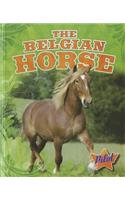 Belgian Horse