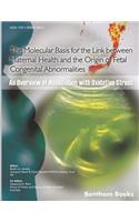 Molecular Basis for the Link Between Maternal Health and the Origin of Fetal Congenital Abnormalities