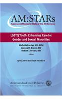 Am: Stars Lgbtq Youth: Enhancing Care for Gender and Sexual Minorities, Volume 29