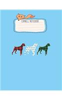 Cornell Notebook