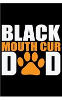 Black Mouth Cur Dad