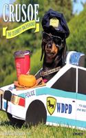 Crusoe the Celebrity Dachshund 2017 Wall Calendar